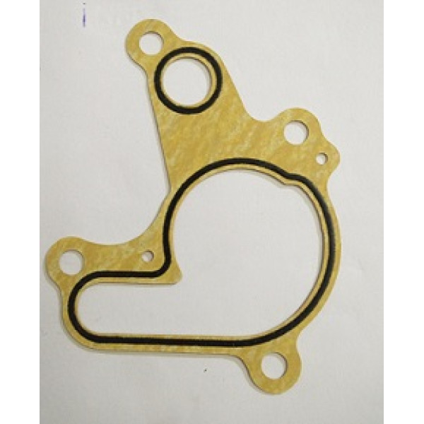 Guarnizione Pompa Acqua MONTESA 315